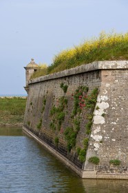 Saint-Vaast-la-Hougue