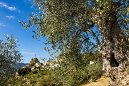 Estéron, Sigale