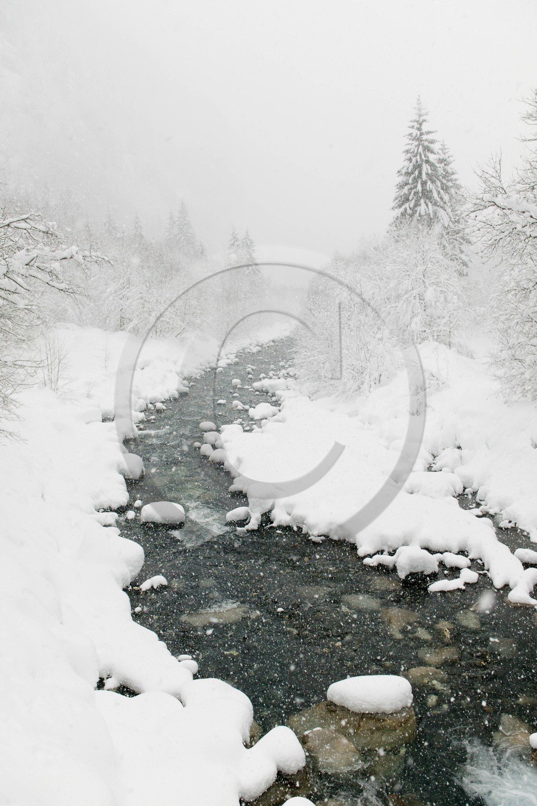 Réserve naturelle de Sixt-Passy, Le Giffre, Sixt-Fer-à-Cheval