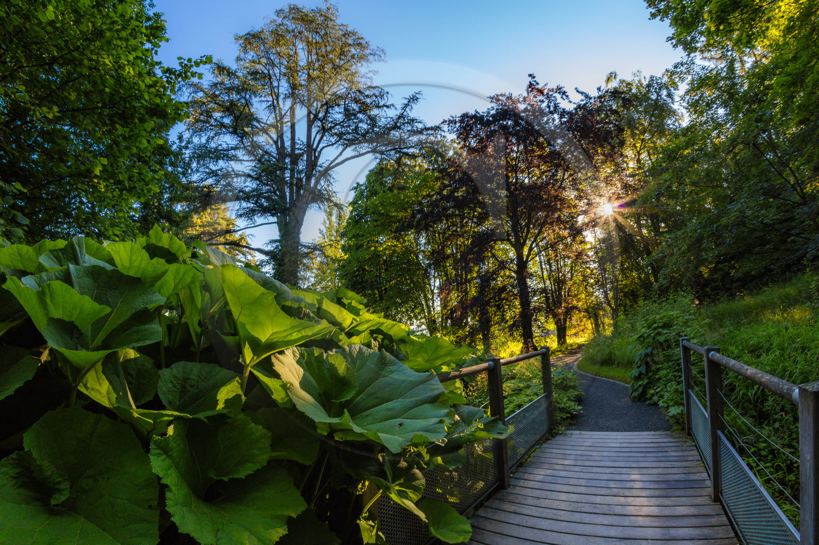 Les jardins de l'eau du Pré Curieux
