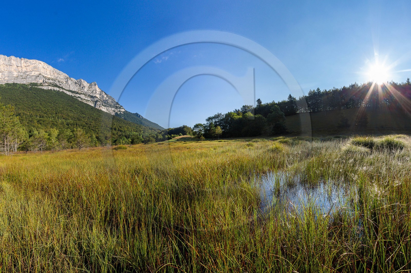 ENS de l'Isère,Tourbières du Peuil