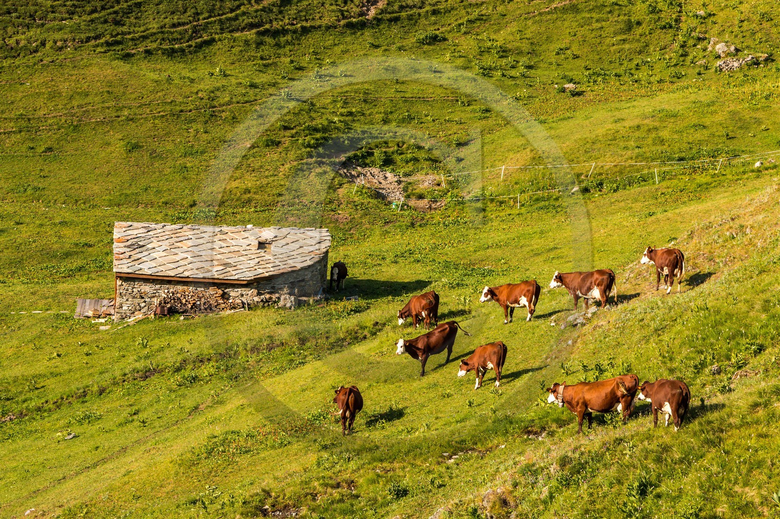 Termignon, alpage de Chavières