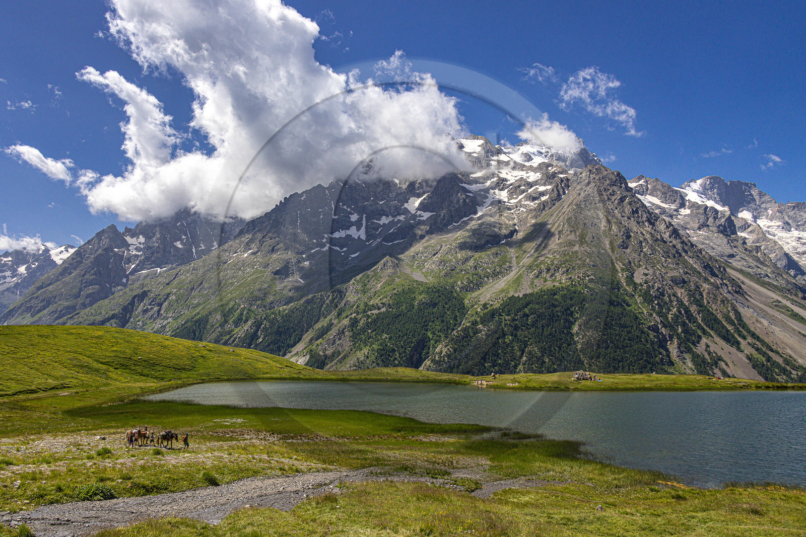 Trek famille avec animaux de bats