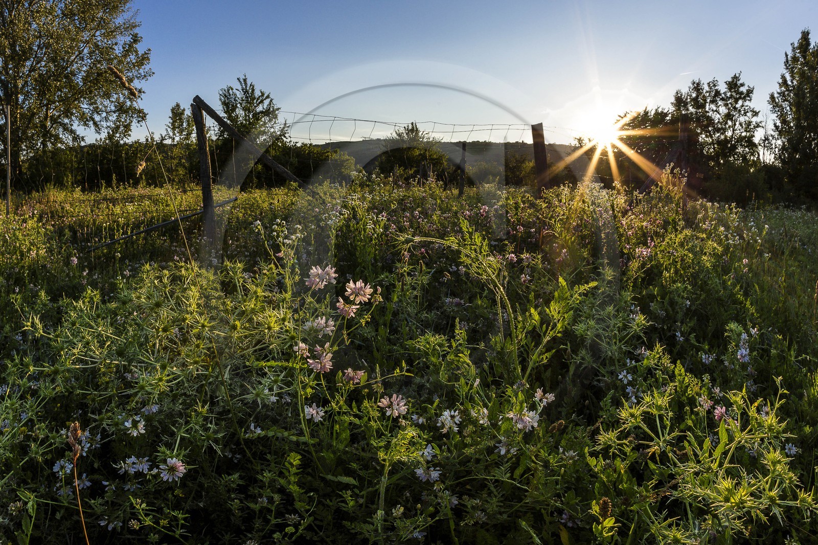 ENS de l'Isère, , le méandre des Oves