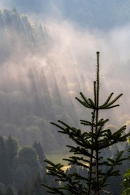 ENS de l'Isère, Les Ecouges