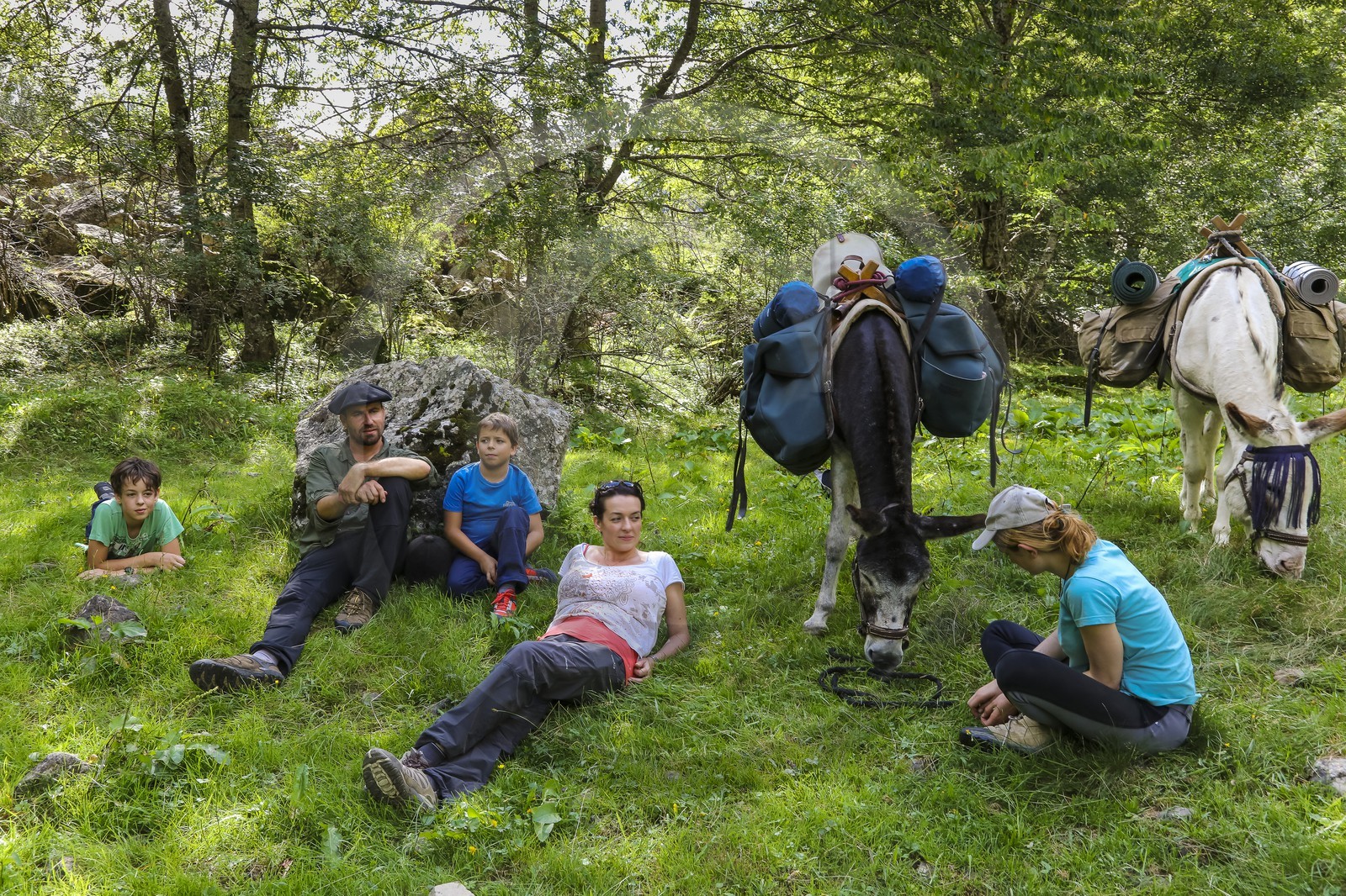Yohann Masnada, accompagnateur ânier