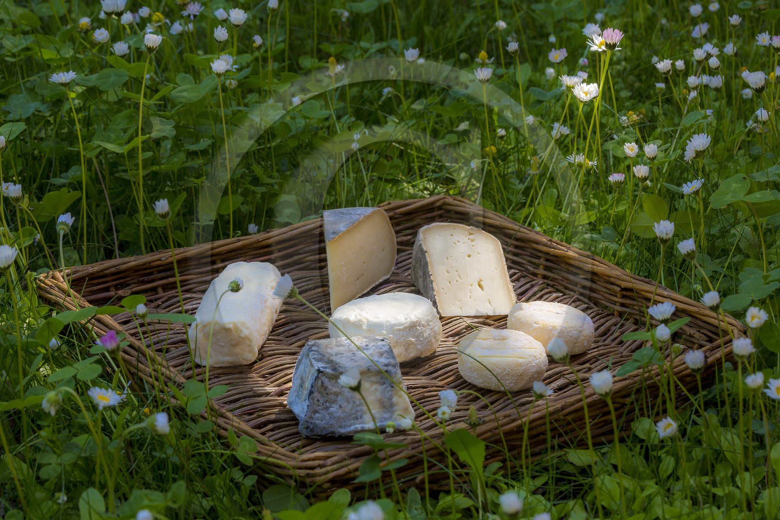 Noémie Kreiss et Julien Kaquet, Ferme des Cabrioles