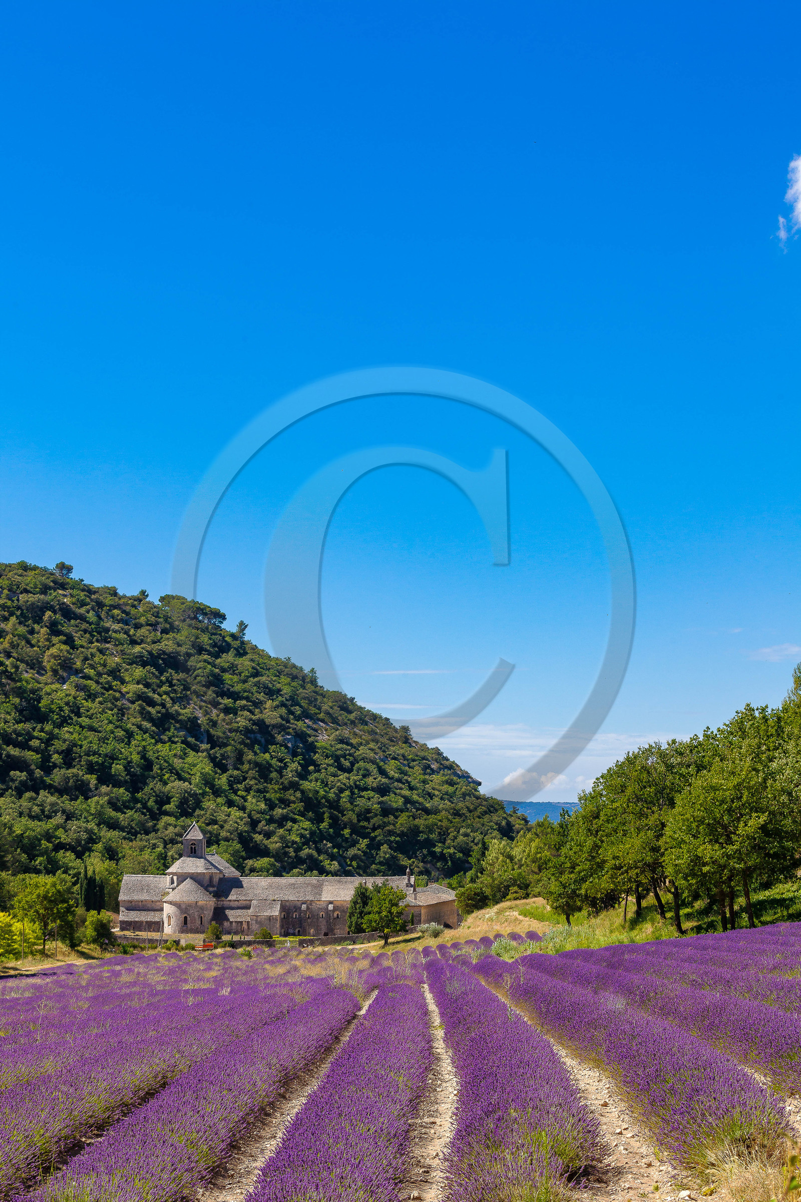 Gordes, Abbaye Notre-Dame de Sénanque