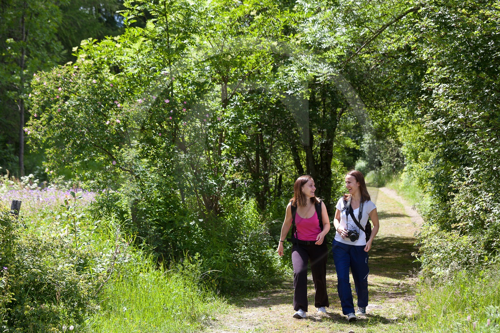 Randonnée champêtre