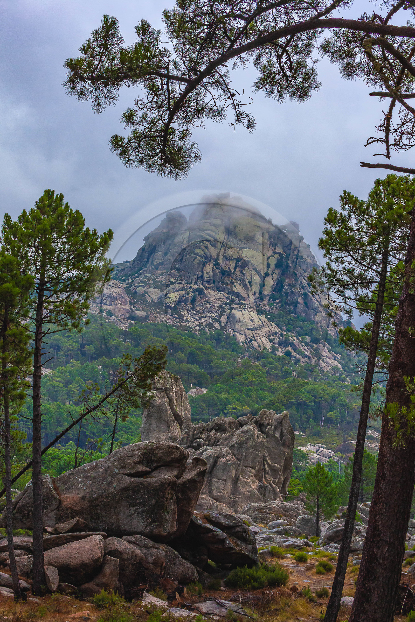 Les Aiguilles de Bavella (forchi di Bavedda )