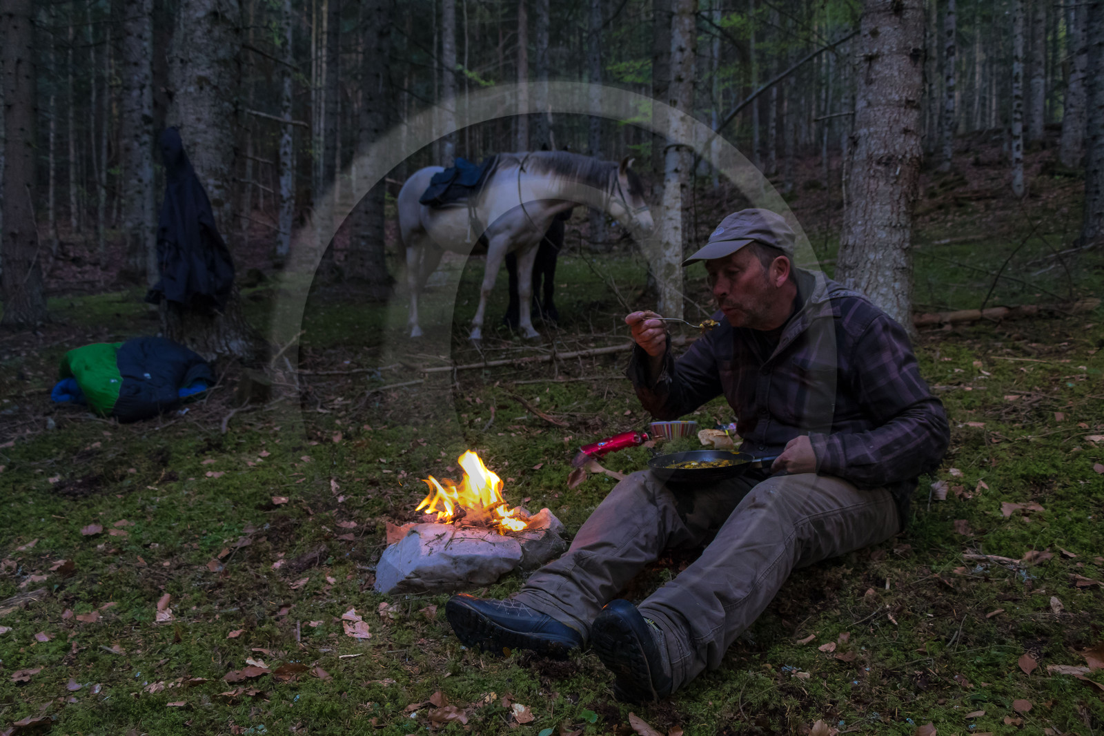 Film : La vallée des loups