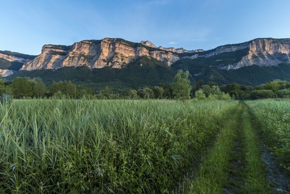 ENS de l'Isère, Marais de Montfort
