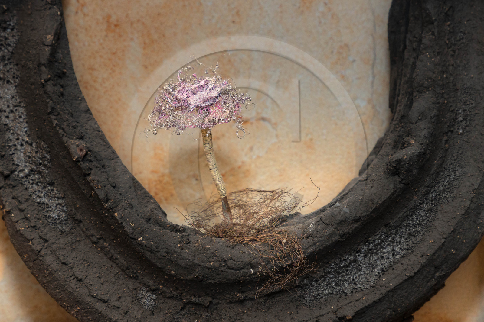 Muriel Baïevitch-Coutens