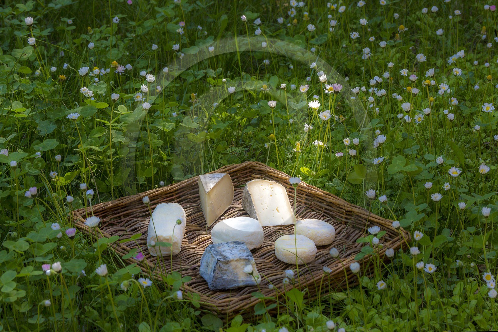 Noémie Kreiss et Julien Kaquet, Ferme des Cabrioles