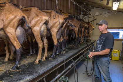Gaec La Ferme des Ecrins