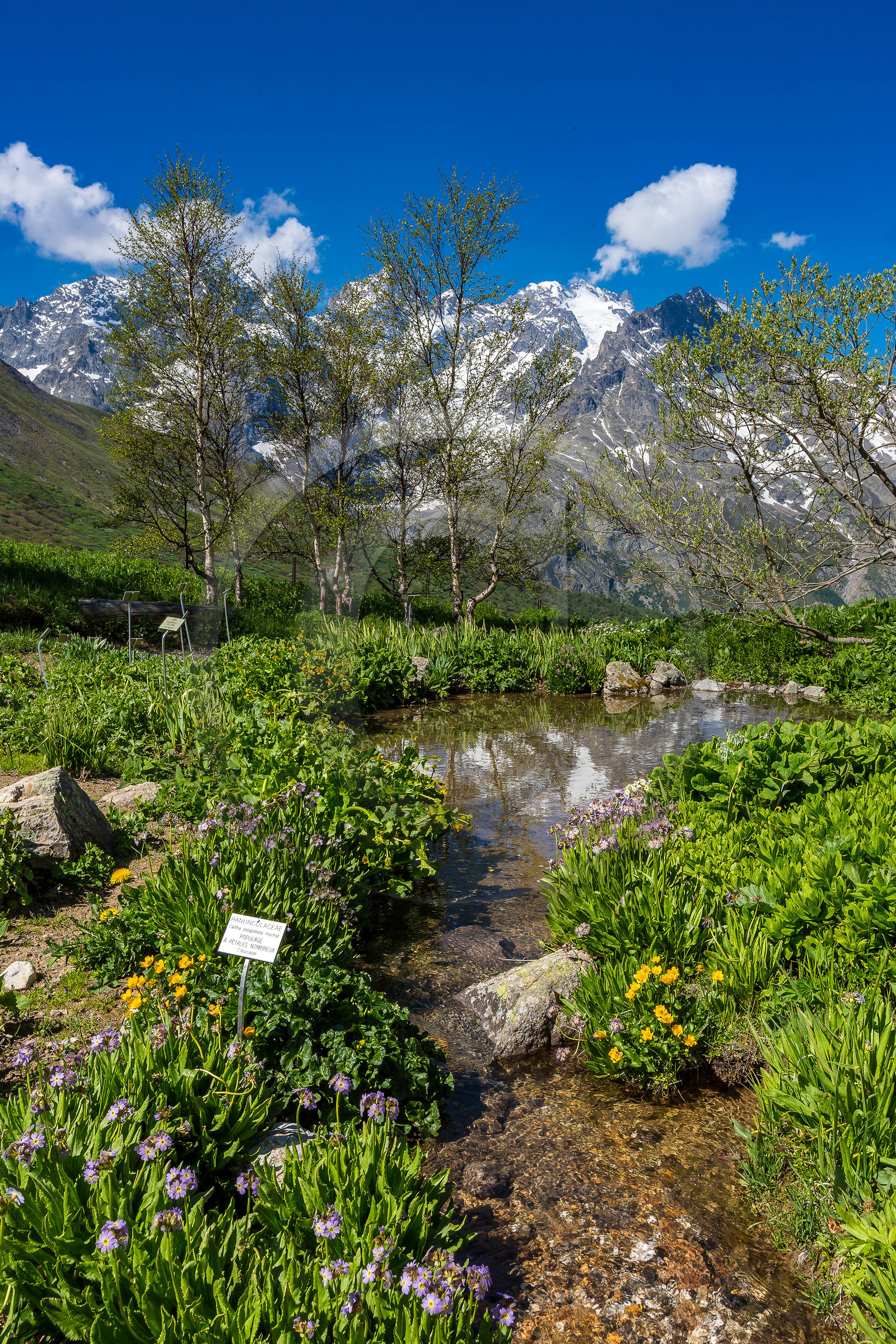 Jardin Botanique Alpin du Lautaret