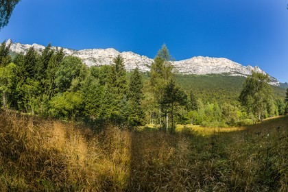 ENS de l'Isère,Tourbières du Peuil