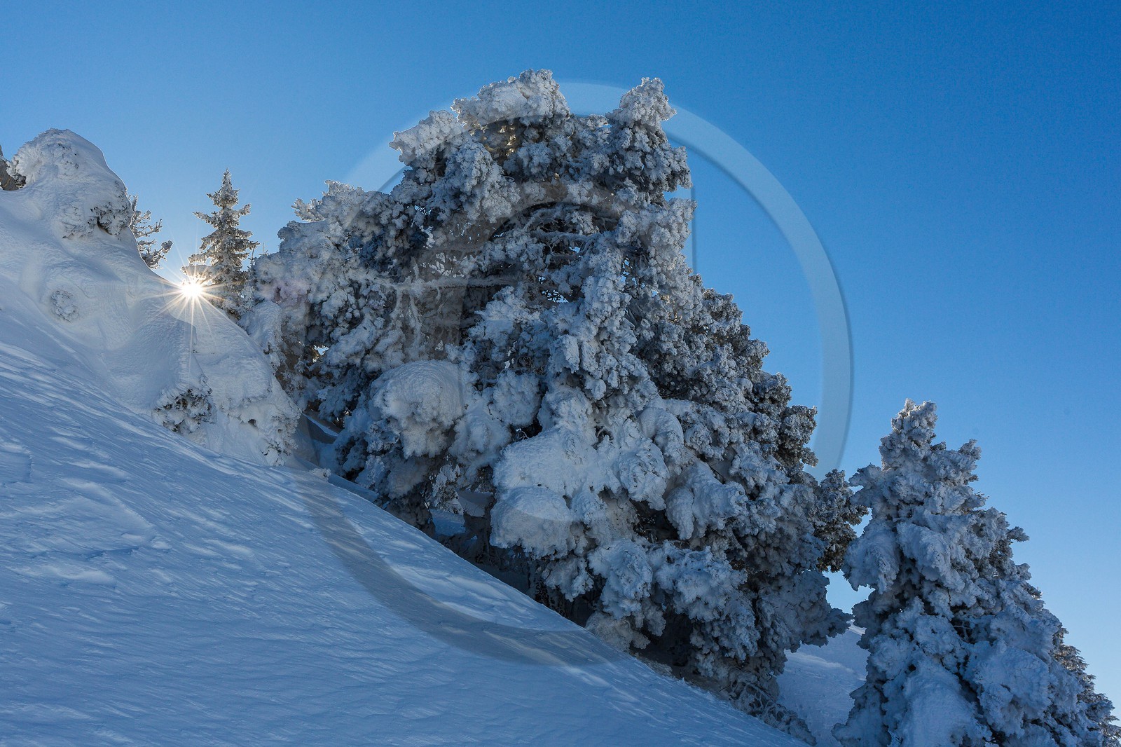 Espace naturel sensible de l'Isère, Col du Coq