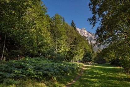 ENS de l'Isère,Tourbières du Peuil
