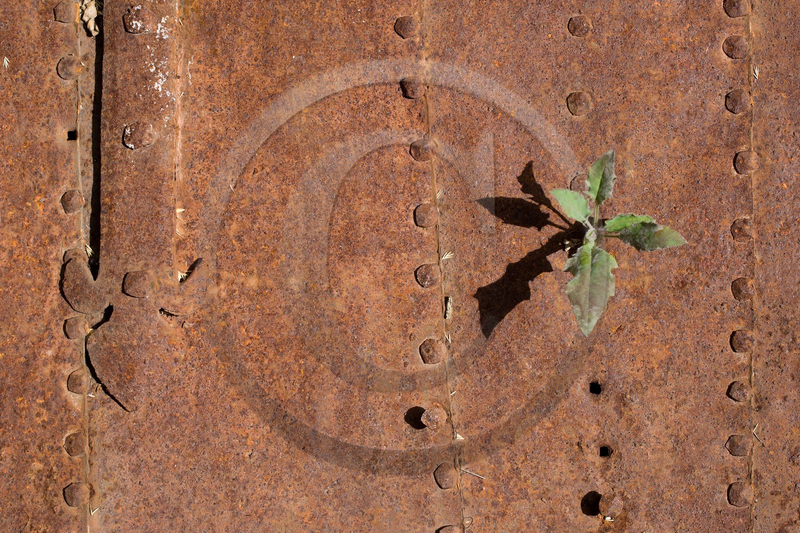 Briançon, Fort des Têtes