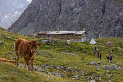 Chalet Refuge de Chamoissière