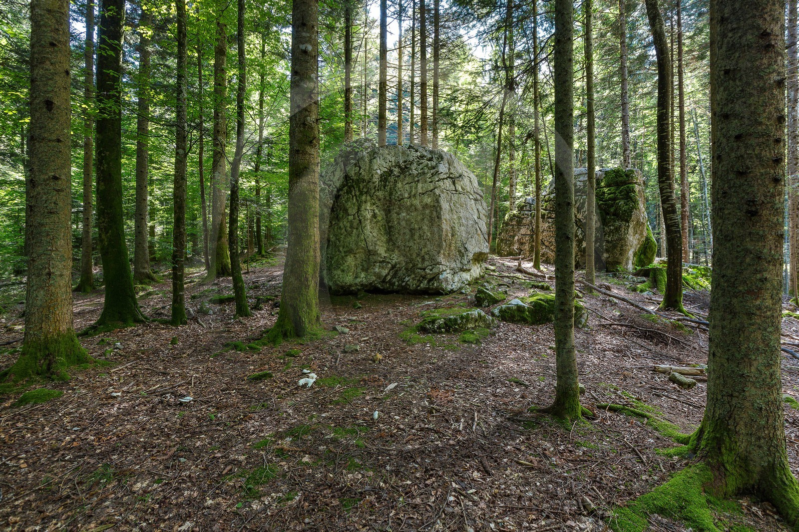 ENS de l'Isère,Tourbières du Peuil