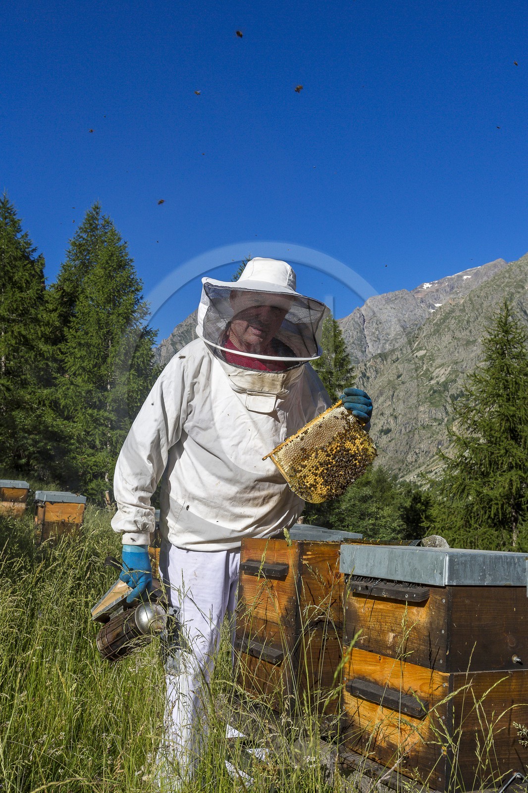 Patrick Challet apiculteur