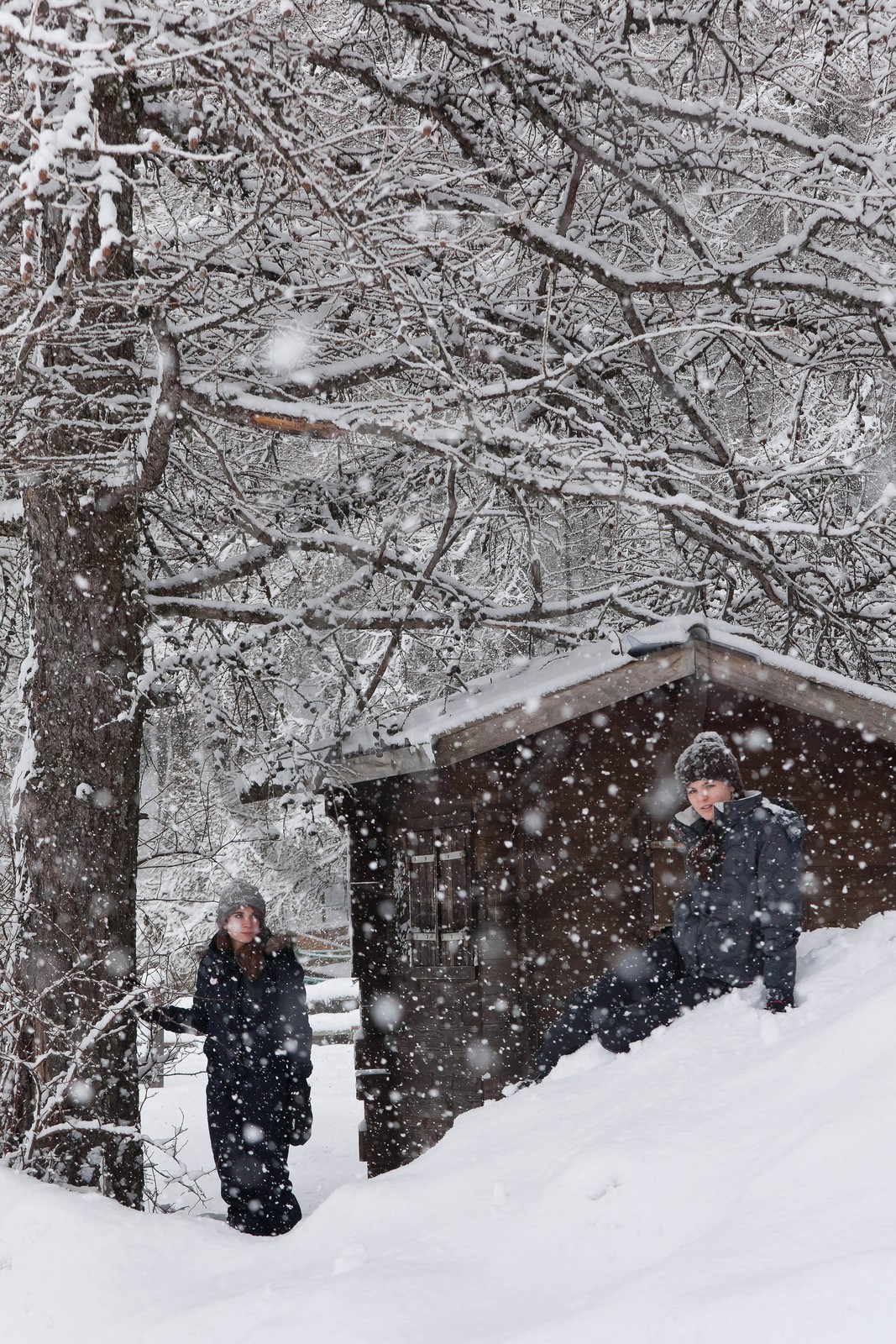Hiver, randonnée balade sous la neige
