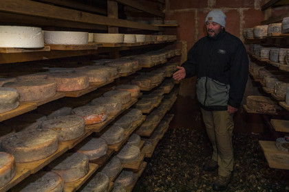 Fromagerie du Plan, Pierrick Rolland, éleveur