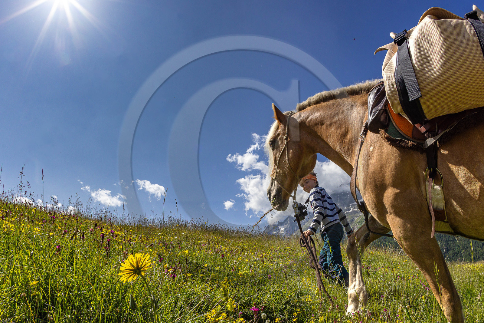 Trek famille avec animaux de bats
