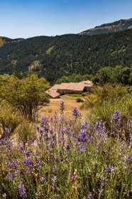 Les Monges, ferrme de Feissal