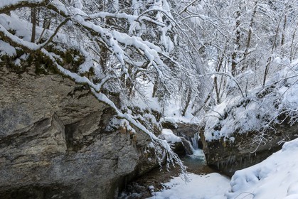 ENS de l'Isère, Les Ecouges, rivière la Drevenne