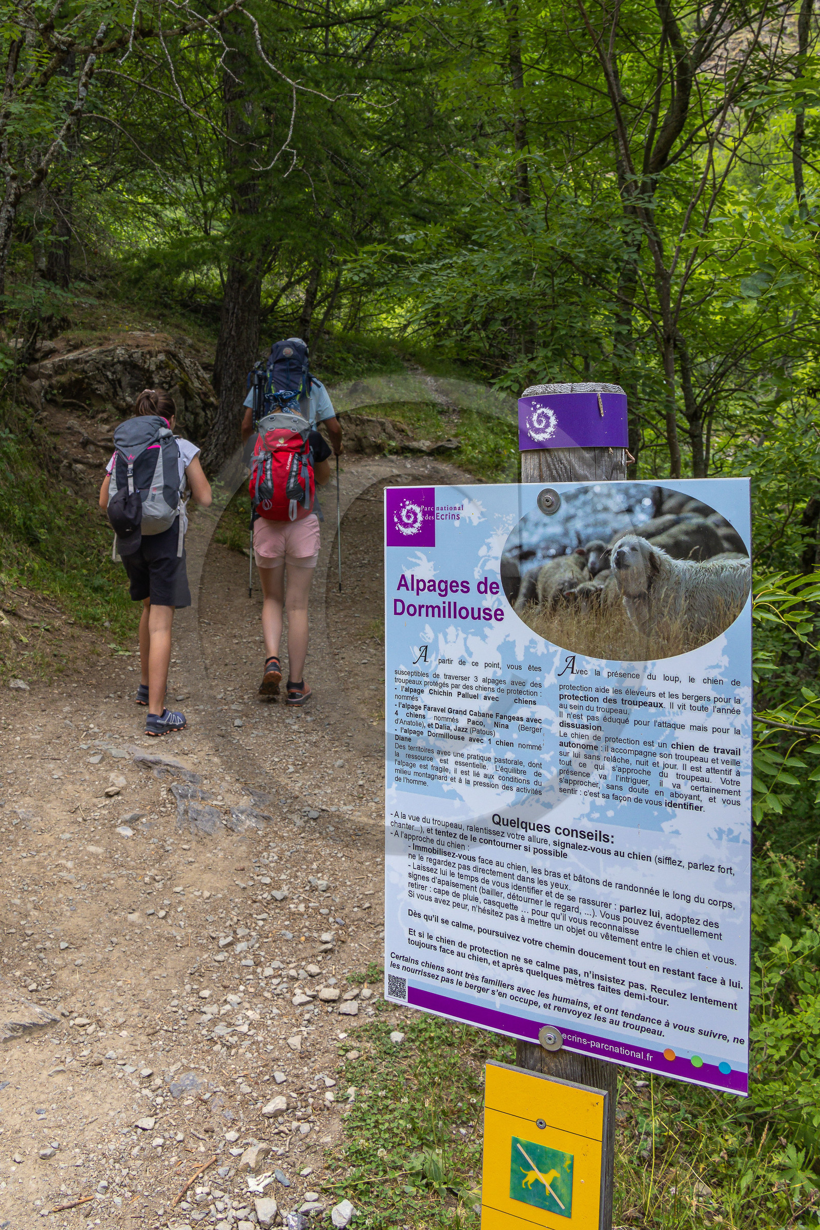 Vallée de Freissinières, panneau d'informations patou