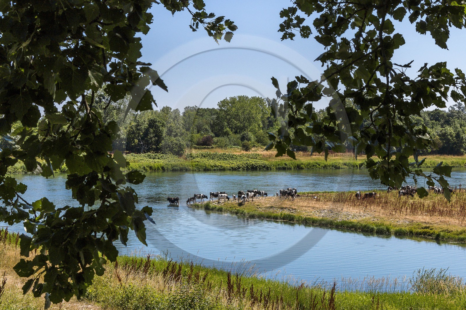 ENS de l'Isère, , le méandre des Oves