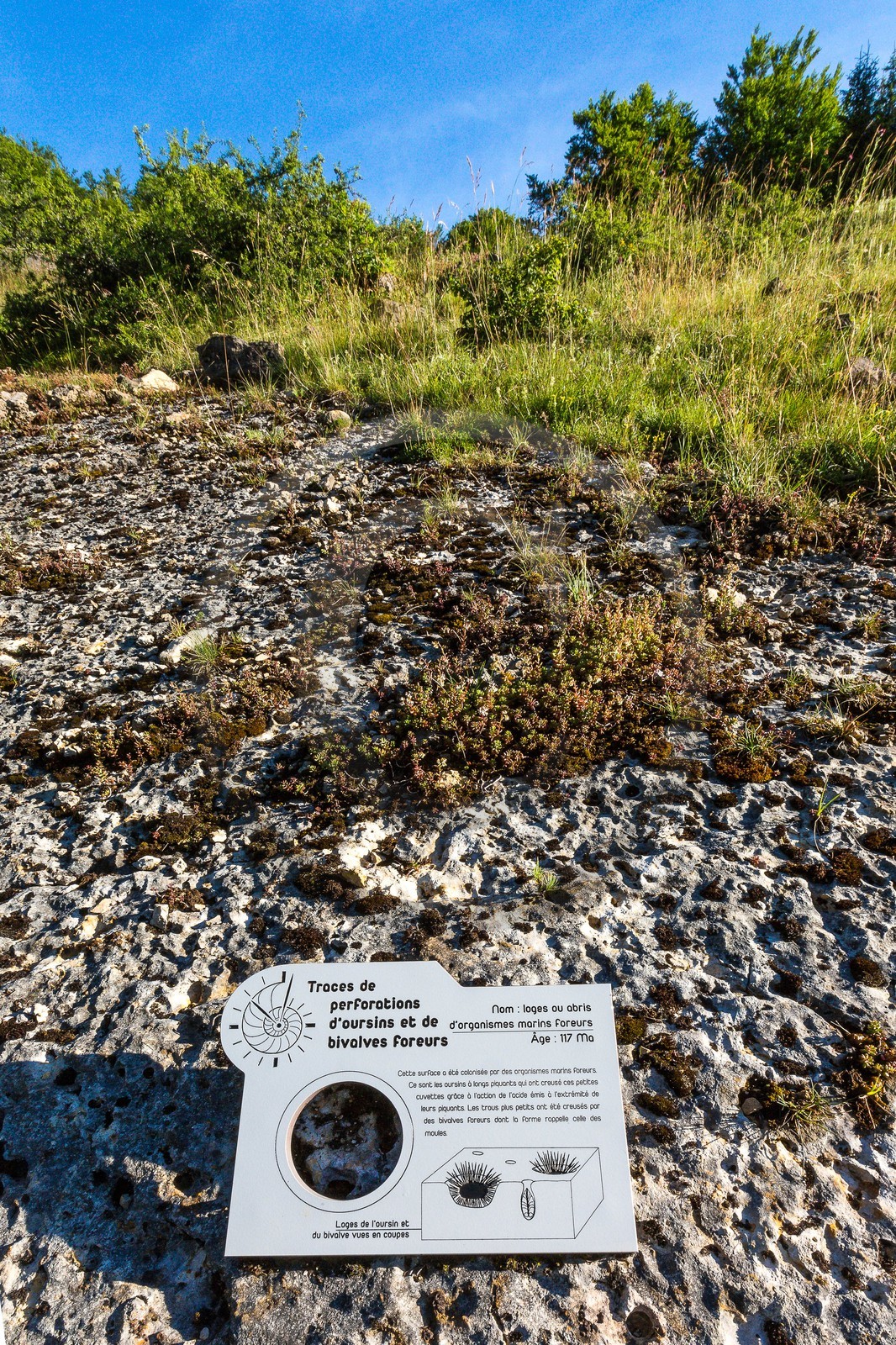 ENS de l'Isère, vallée fossile des Rimets