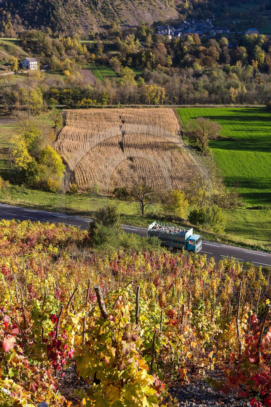 Valbonnais, Les Angelas, les vignes de Blanc-Marquis