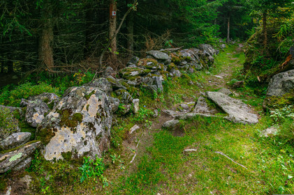 Ruines, vieux mur en pierre sèche