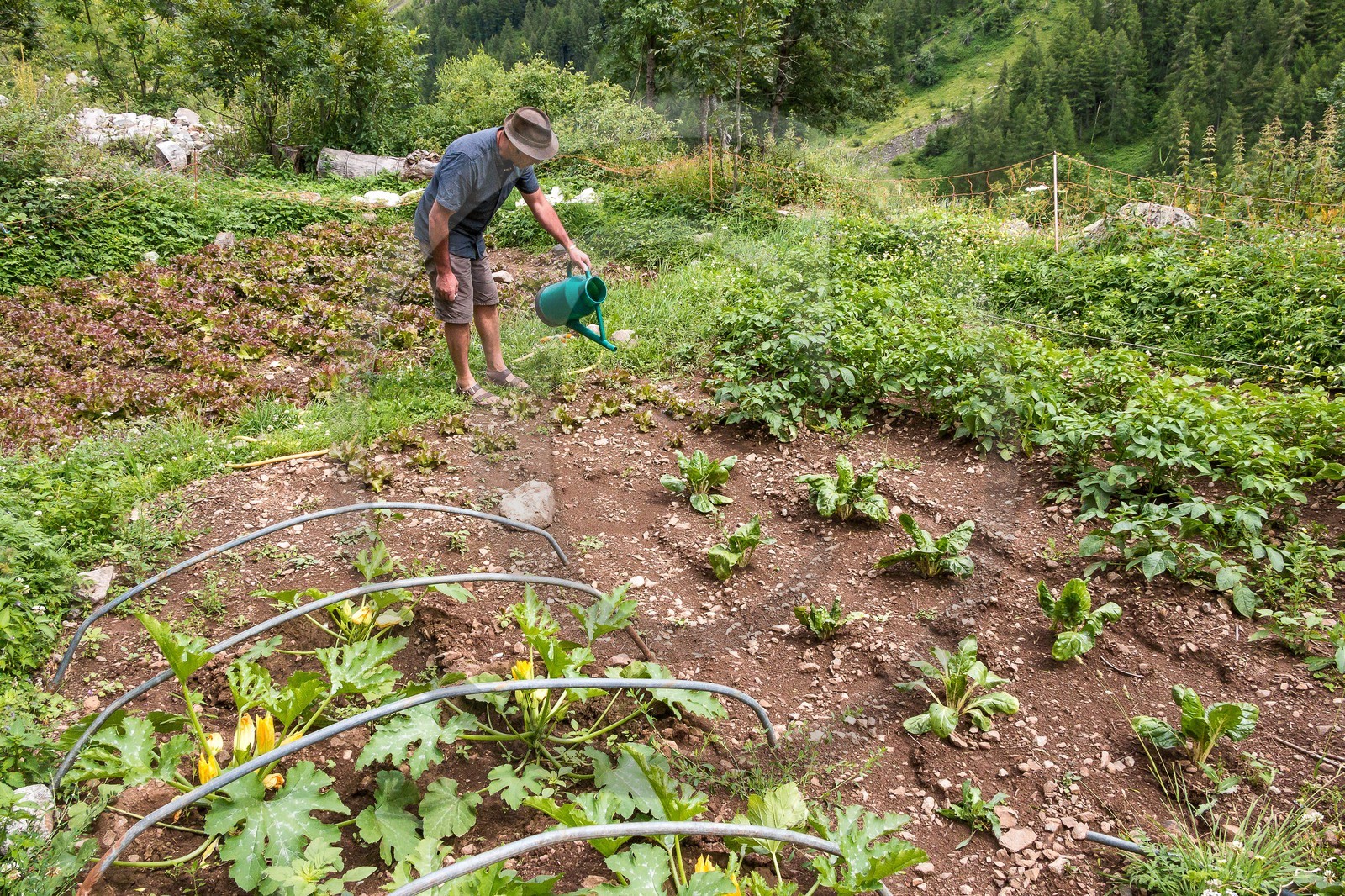 Vallée de Champoléon, refuge du Tourond, Stéphane Chevalier, gardien