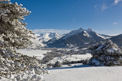 Ancelle