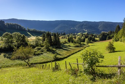 ENS de l'Isère, Marais des Sagnes