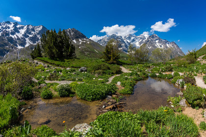 Jardin Botanique Alpin du Lautaret