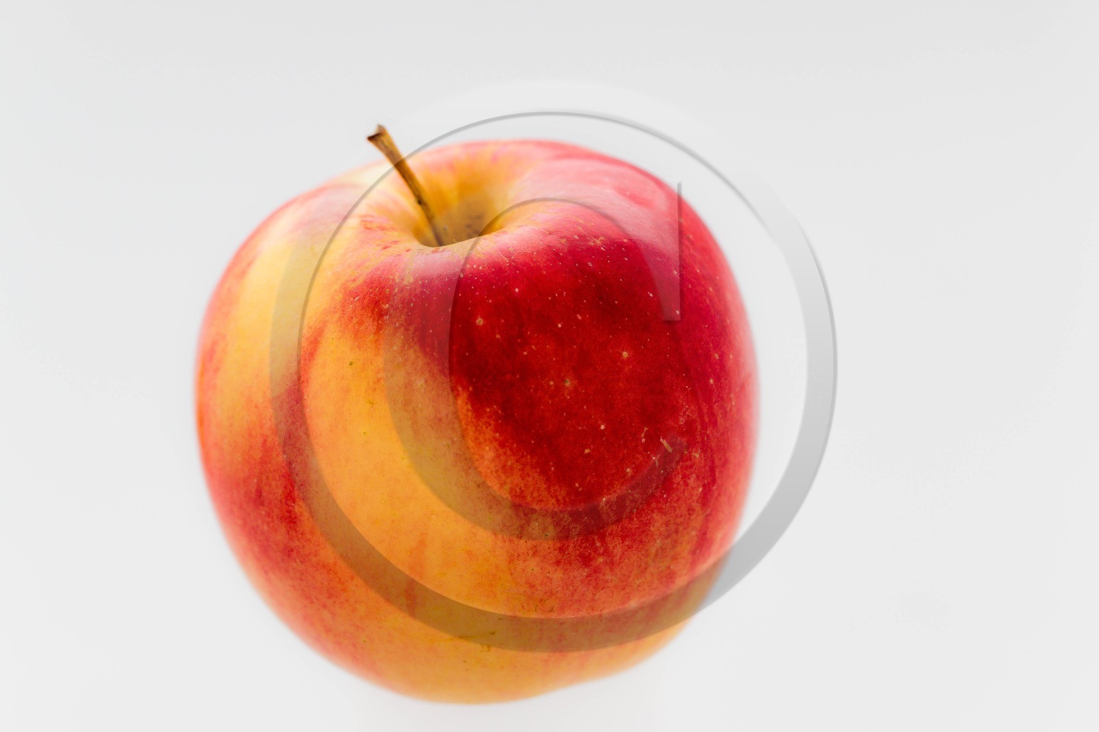 Noëlle et Franck Jacob, producteurs de fruits