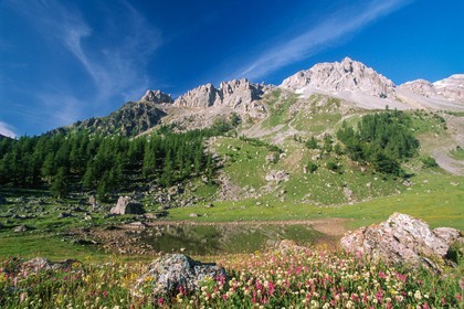 lac des Partias