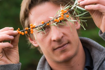 David Viveau agriculteur, producteur de baies d'argousier