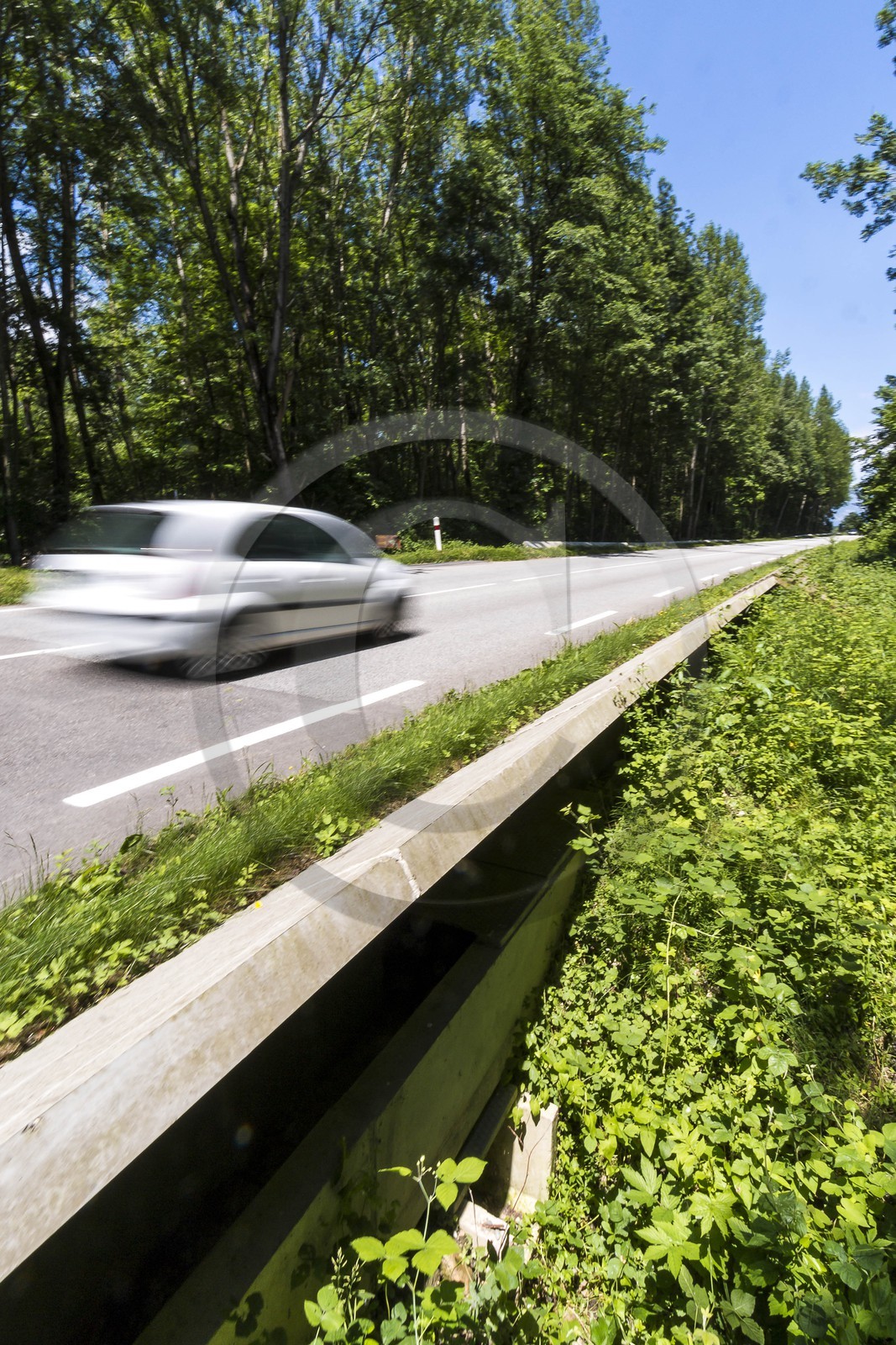 ENS de l'Isère, espace alluvial de la Rolande, crapauduc