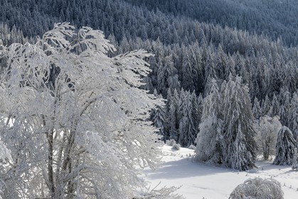 ENS de l'Isère, Les Ecouges