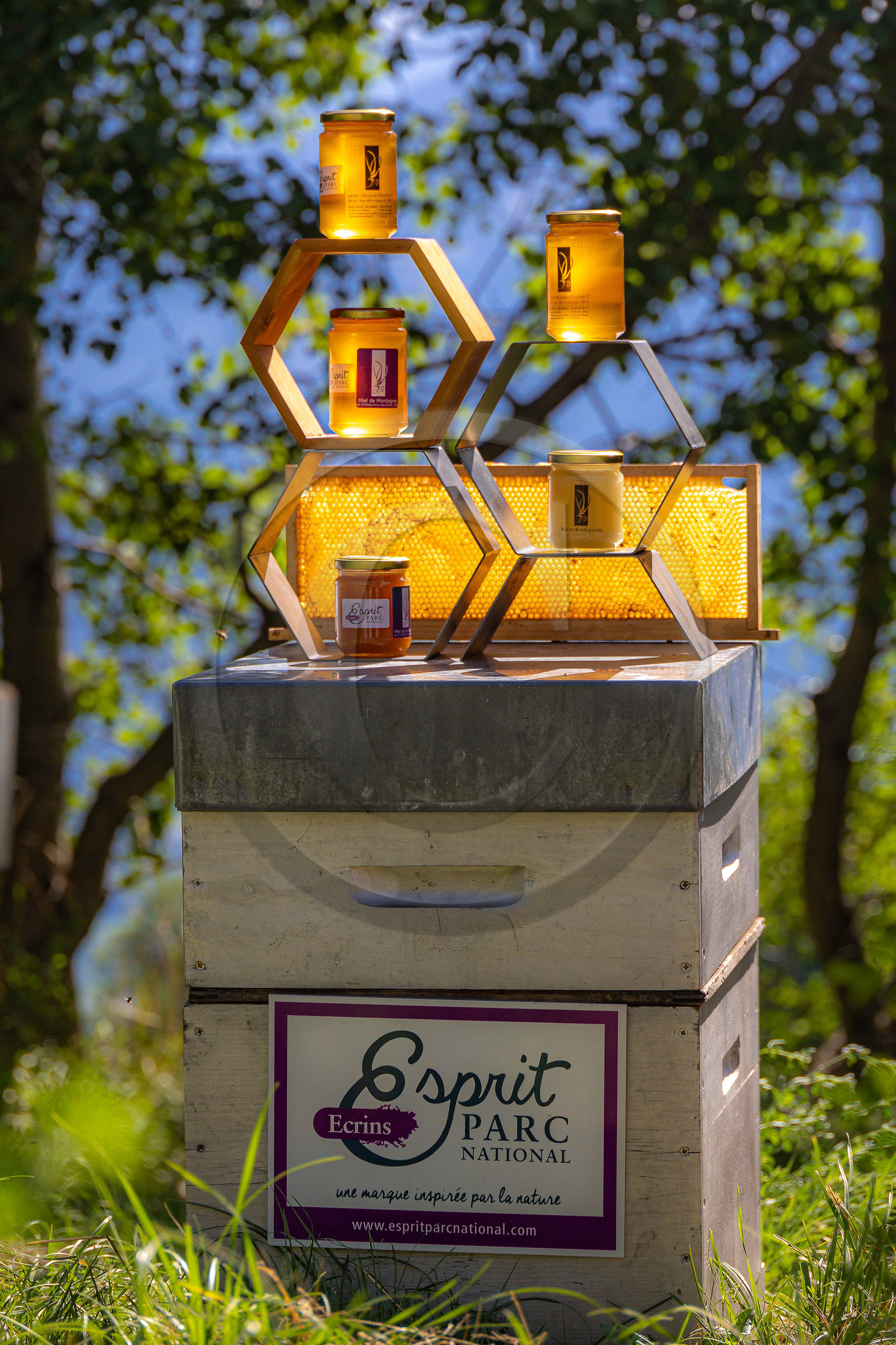 Jean-Jacques Daubert - Apiculteur